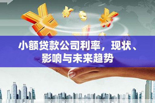 徐州小额贷款公司利率，现状、影响与未来趋势