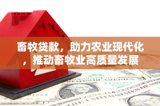 徐州畜牧贷款，助力农业现代化，推动畜牧业高质量发展