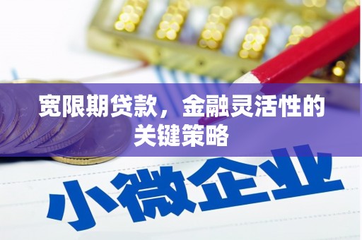 徐州宽限期贷款，金融灵活性的关键策略