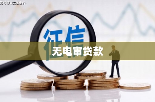 徐州无电审贷款