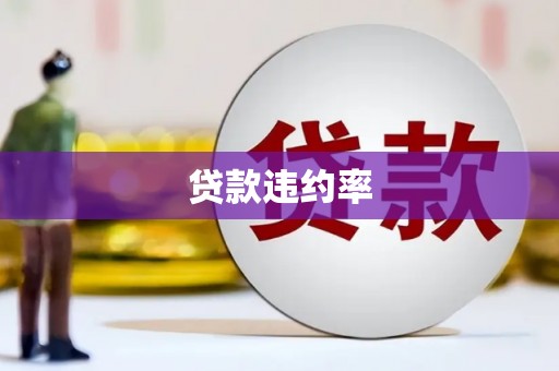 徐州贷款违约率