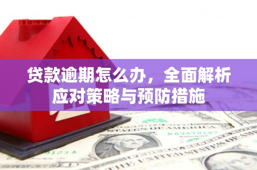 徐州贷款逾期怎么办，全面解析应对策略与预防措施
