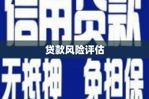 徐州贷款风险评估