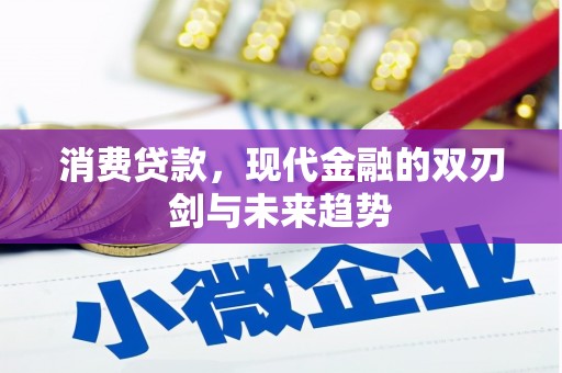 徐州消费贷款，现代金融的双刃剑与未来趋势