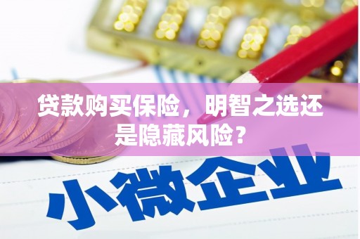 徐州贷款购买保险，明智之选还是隐藏风险？