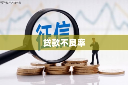 徐州贷款不良率