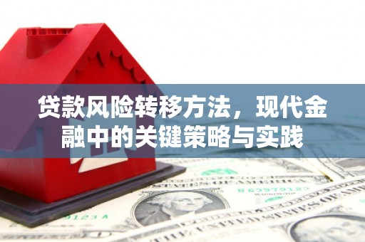 徐州贷款风险转移方法，现代金融中的关键策略与实践