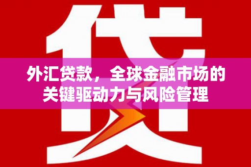 徐州外汇贷款，全球金融市场的关键驱动力与风险管理