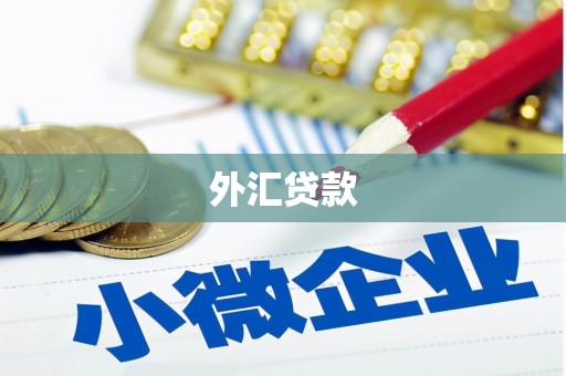 徐州外汇贷款