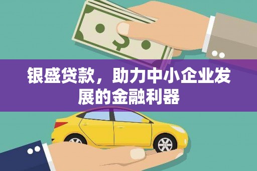 徐州银盛贷款，助力中小企业发展的金融利器