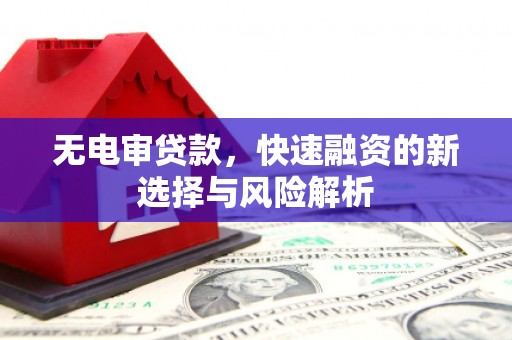 徐州无电审贷款，快速融资的新选择与风险解析