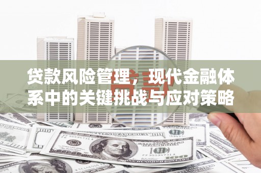 徐州贷款风险管理，现代金融体系中的关键挑战与应对策略