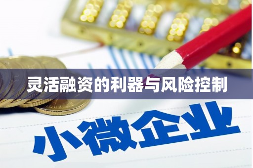 徐州灵活融资的利器与风险控制