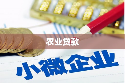 徐州农业贷款