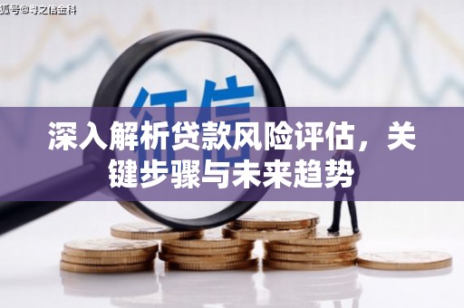 徐州深入解析贷款风险评估，关键步骤与未来趋势