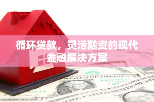 徐州循环贷款，灵活融资的现代金融解决方案