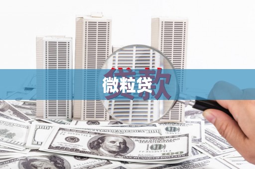 徐州微粒贷