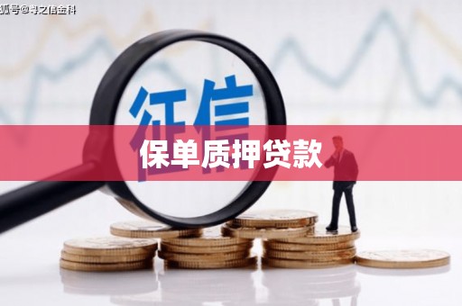 徐州保单质押贷款