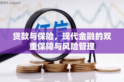 徐州贷款与保险，现代金融的双重保障与风险管理