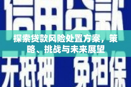 徐州探索贷款风险处置方案，策略、挑战与未来展望