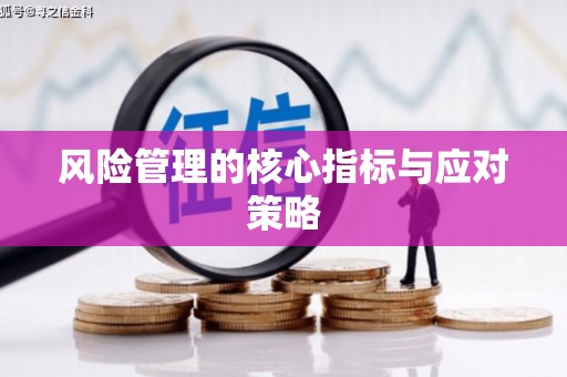 徐州风险管理的核心指标与应对策略