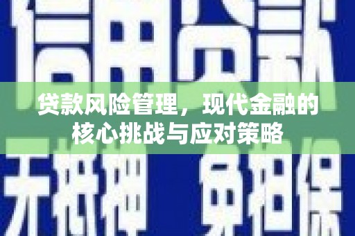 徐州贷款风险管理，现代金融的核心挑战与应对策略