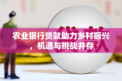 徐州农业银行贷款助力乡村振兴，机遇与挑战并存