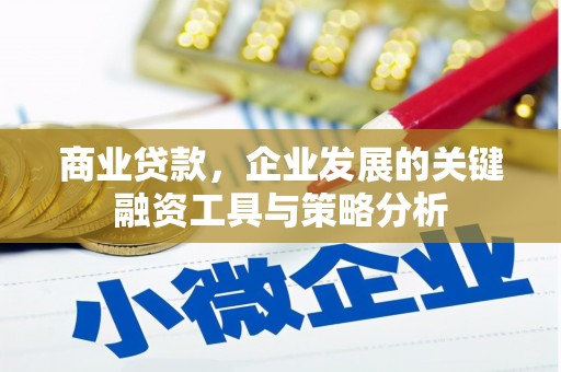 徐州商业贷款，企业发展的关键融资工具与策略分析