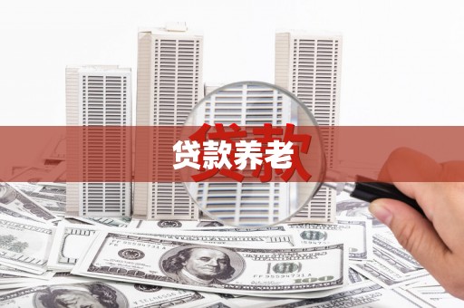 徐州贷款养老
