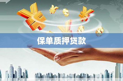 徐州保单质押贷款