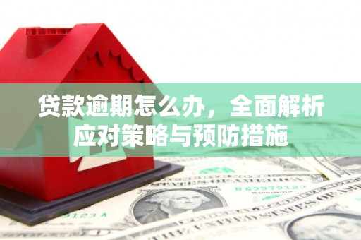 徐州贷款逾期怎么办，全面解析应对策略与预防措施