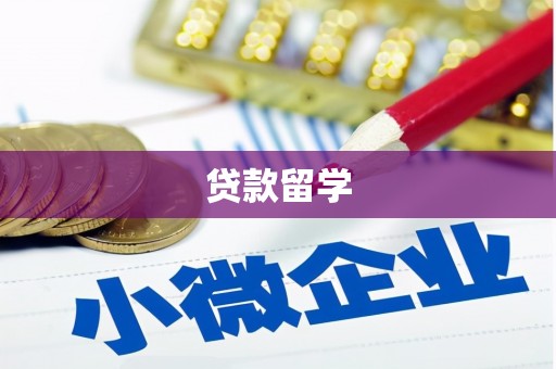徐州贷款留学
