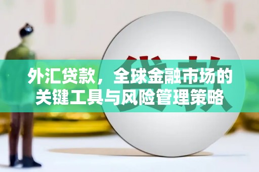 徐州外汇贷款，全球金融市场的关键工具与风险管理策略