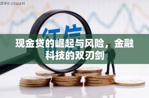 徐州现金贷的崛起与风险，金融科技的双刃剑