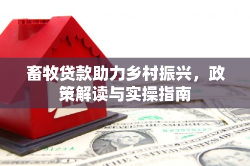 徐州畜牧贷款助力乡村振兴，政策解读与实操指南
