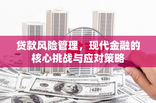 徐州贷款风险管理，现代金融的核心挑战与应对策略