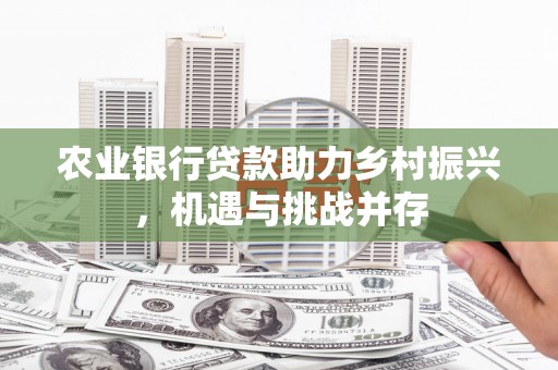 徐州农业银行贷款助力乡村振兴，机遇与挑战并存