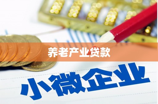 徐州养老产业贷款