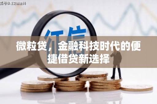徐州微粒贷，金融科技时代的便捷借贷新选择