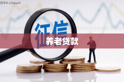 徐州养老贷款