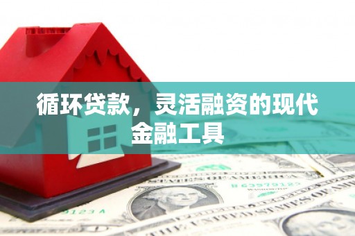 徐州循环贷款，灵活融资的现代金融工具
