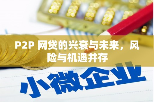 徐州P2P 网贷的兴衰与未来，风险与机遇并存