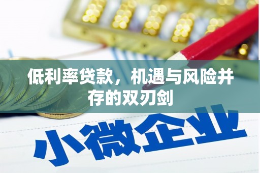 徐州低利率贷款，机遇与风险并存的双刃剑