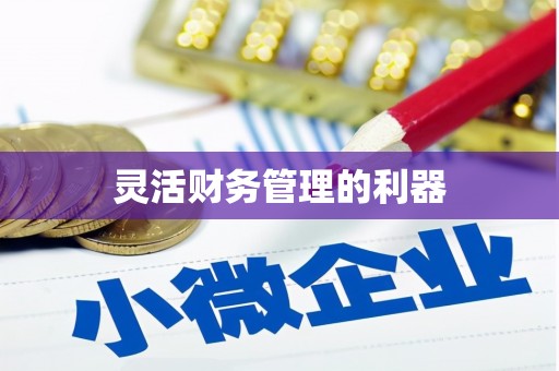 徐州灵活财务管理的利器