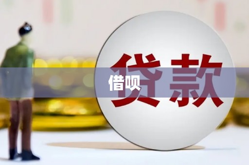 徐州借呗
